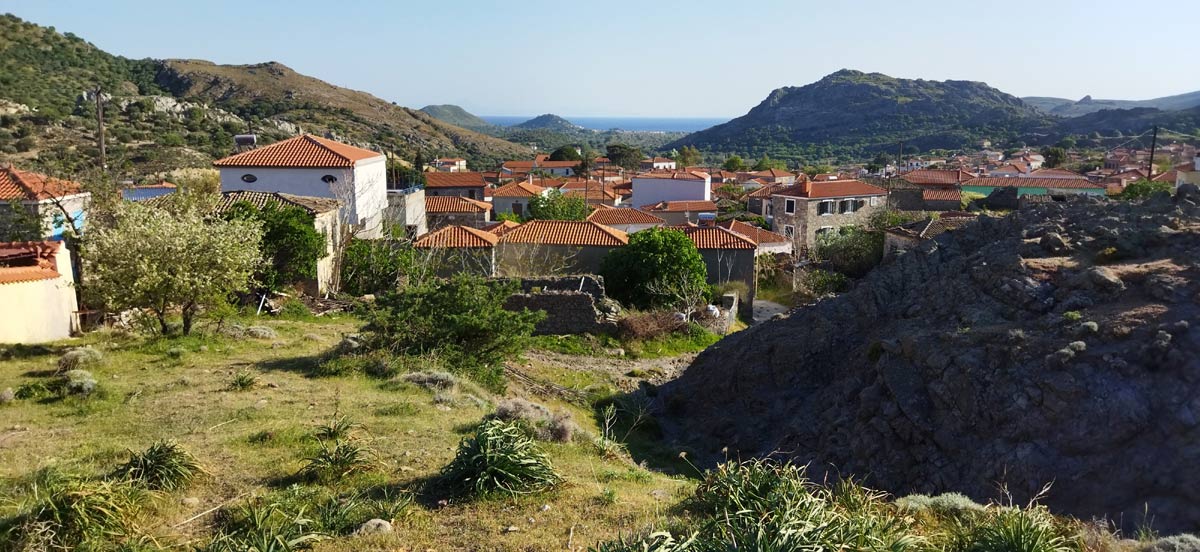 Hinter dem Haus: wilde Natur und Blick aufs Meer Hinter dem Haus: wilde Natur und Blick aufs Meer